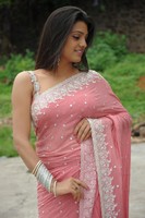 Tashu Kaushik Saree Photos